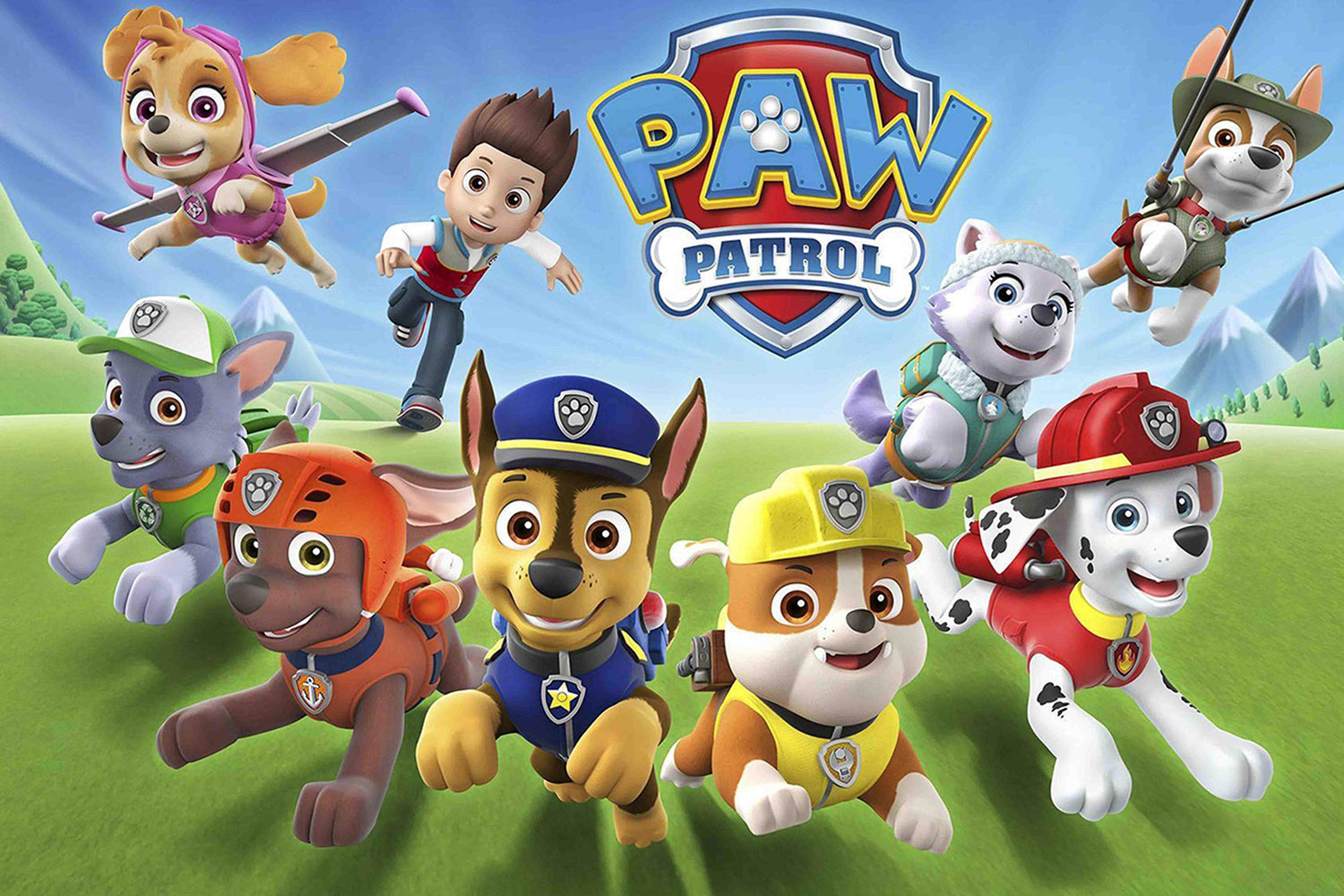 Paw patrol